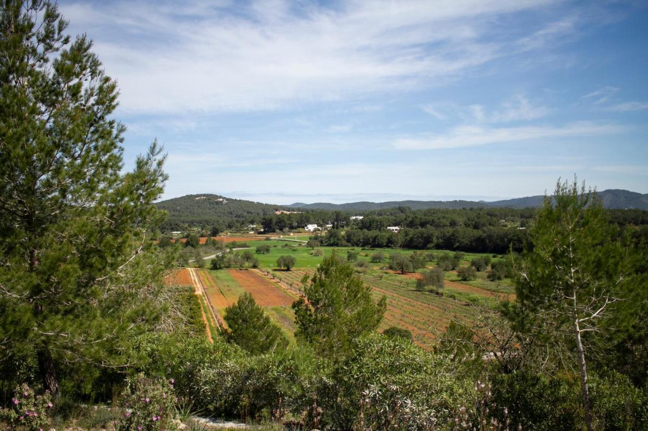 Agroturismo Can Marquet - Adults Only Santa Gertrudis  Bagian luar foto